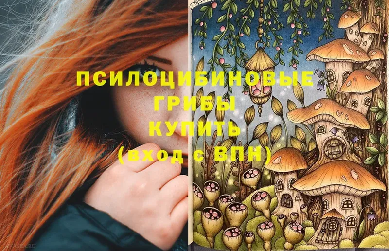 Псилоцибиновые грибы MAGIC MUSHROOMS  наркошоп  Закаменск 